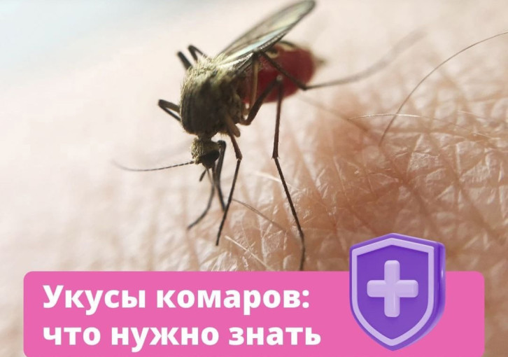 Как защититься от комаров Как защититься от комаров.